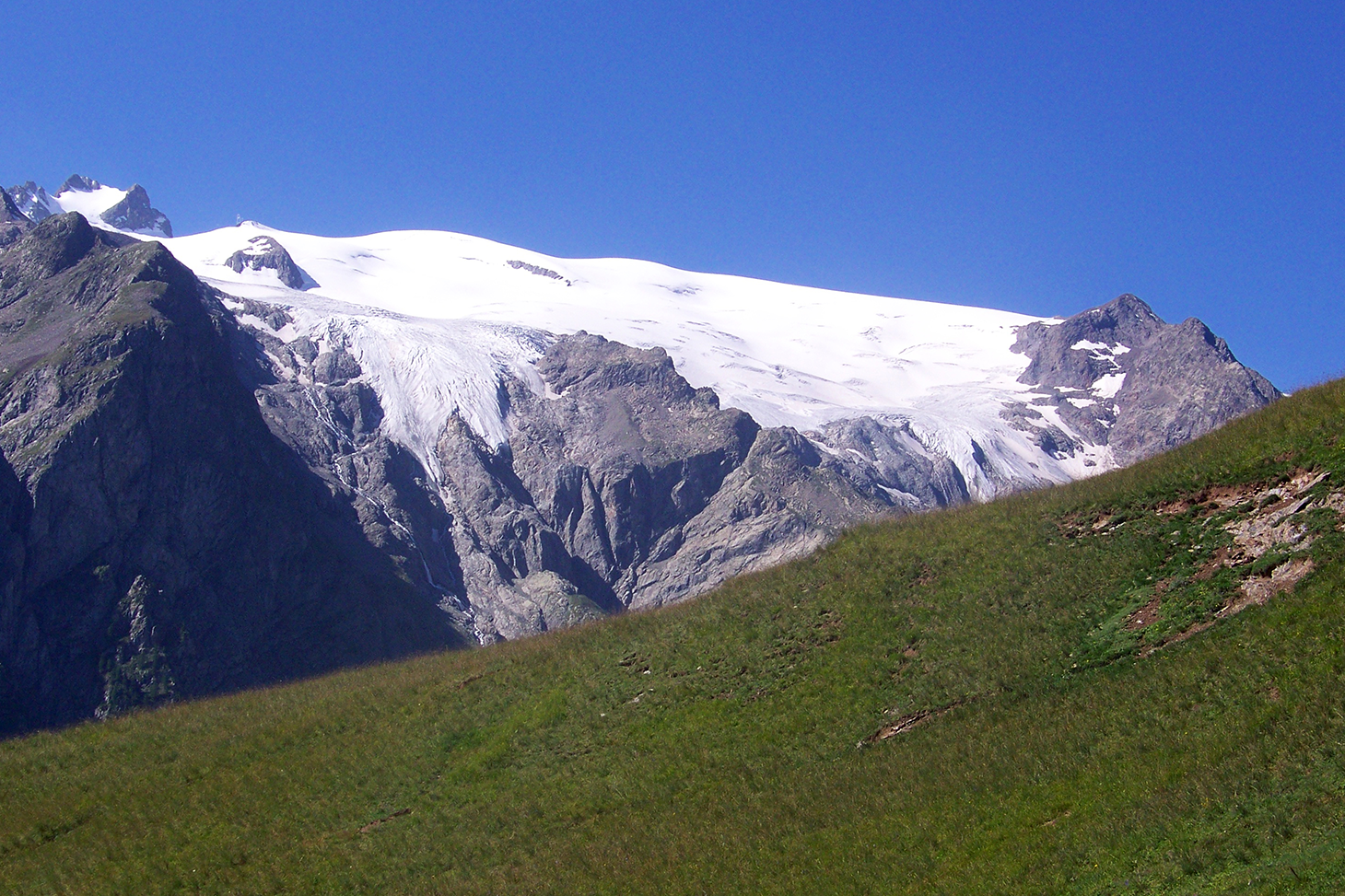 Androsace, Controverse en haute montagne