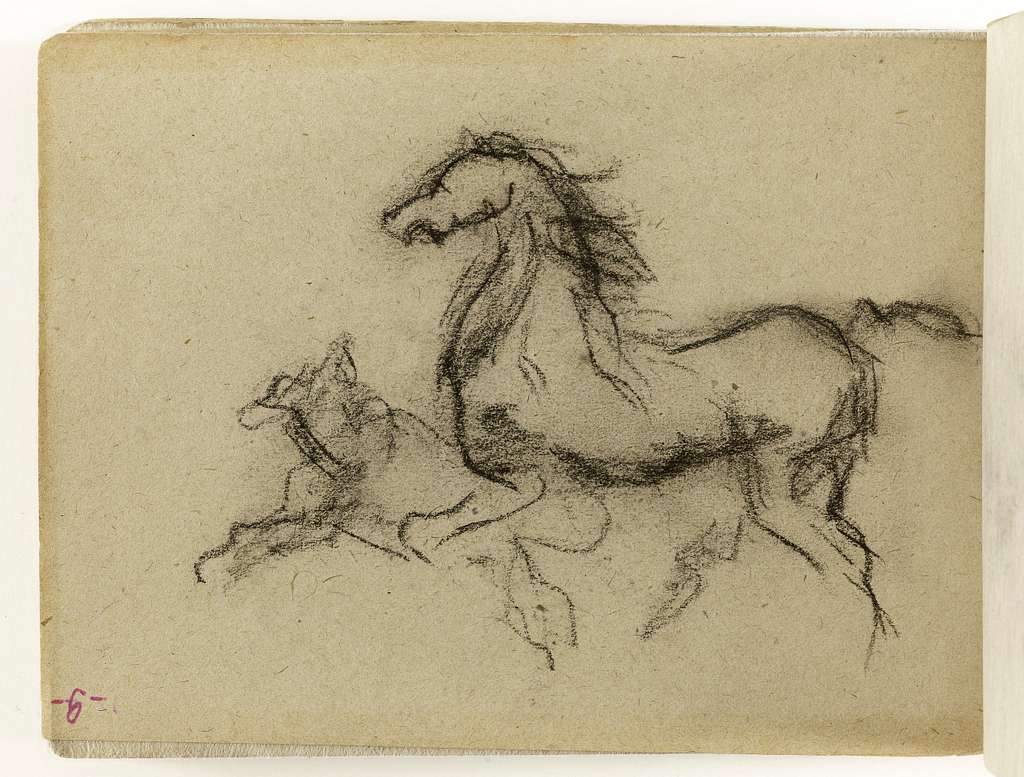 croquis de chevaux
